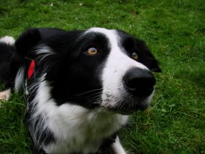 Kopie von DSC09011.JPG